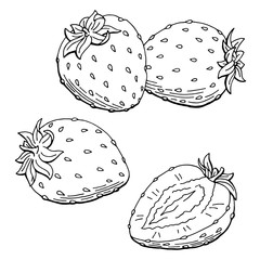 Strawberry graphic black white isolated sketch illustration vector