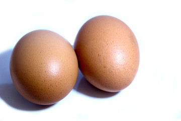 egg