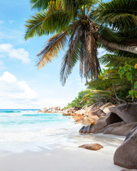Beautiful tropical  sand beach with granite rocks and coconut palm trees. Beach Anse Cocos, La Digue, Seychelles.