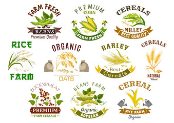 Grain and cereal product vector isolated icons