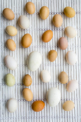 Various kinds of fresh eggs