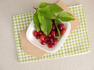 Reife rohe Kornelkirschen