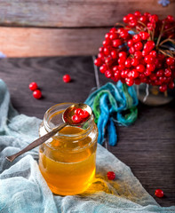 Jar of honey and viburnum on wooden background