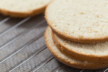 Sponge cake, shortcakes on baking grid. Close up