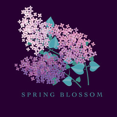 Lilac spring blossom vector illustration. Floral branch of violet blooming for cards, header, invitation, print..