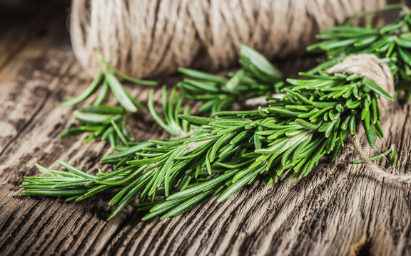 Organic bunch of fresh rosemary on the table