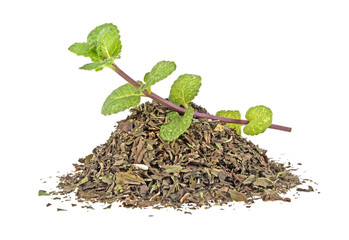 Fresh and dry mint on a white background