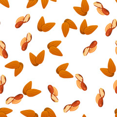 illustration of nuts