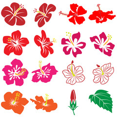 ハイビスカス　アイコンセット　カラー