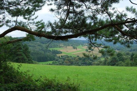 Magurski Park Narodowy, Sciezka Przyrodnicza "Kiczera".