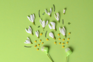 Green earphones on a green background with snowdrops and mimosa flowers. Top view pop-art concept picture