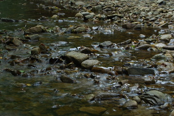 Magurski Park Narodowy, Potok 