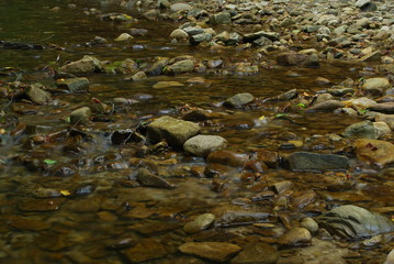 Magurski Park Narodowy, Potok 