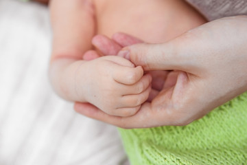 A tiny hand of a newborn baby in the hand of the mother.