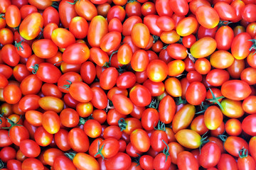 tomato background