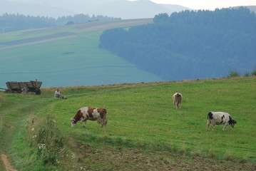 Pogorze Jasielskie, Uroczysko 