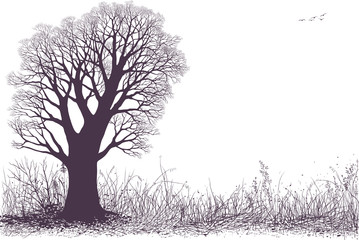 Vector landscape silhouette with oak tree in the meadow isolated on white background. The tree silhouette is on separate layer