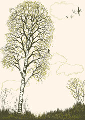 Spring landscape with birch tree silhouette. All objects are on separate layers