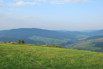 Fototapeta premium Pogorze Jasielskie, Szlak na Grzywacka Gore.