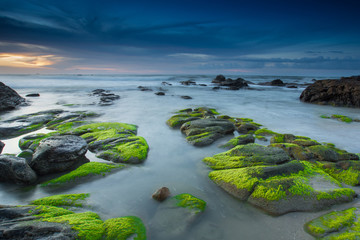 milky wat at tegudon ,kota belut sabah