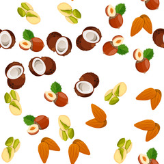 Fototapeta na wymiar illustration of nuts