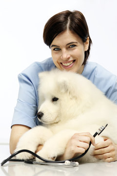 smiling Veterinarian examining dog on table in vet clinic