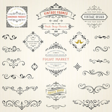 Ornate vintage design elements with calligraphy swirls, swashes, ornate motifs and scrolls. Frames and banners. Vector illustration.