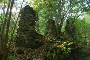 Park Krajobrazowy Puszczy Solskiej © M. G. Koperkiewicz