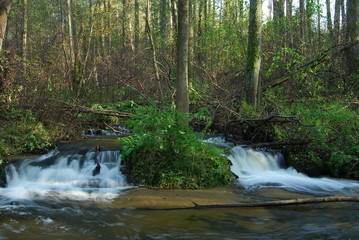 Park Krajobrazowy Puszczy Solskiej © M. G. Koperkiewicz