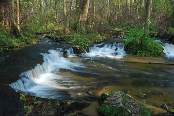 Park Krajobrazowy Puszczy Solskiej © M. G. Koperkiewicz