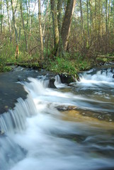 Park Krajobrazowy Puszczy Solskiej