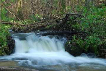 Park Krajobrazowy Puszczy Solskiej © M. G. Koperkiewicz