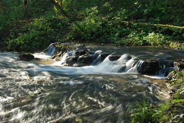 Park Krajobrazowy Puszczy Solskiej © M. G. Koperkiewicz