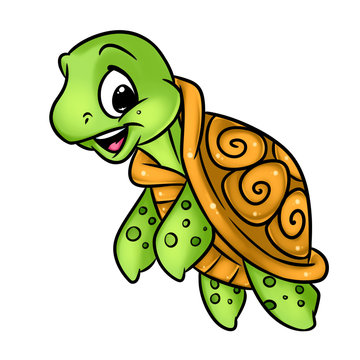 Turtle little cartoon Illustrations isolated image animal character