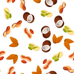 illustration of nuts