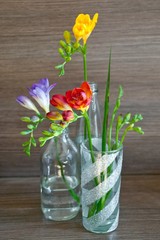 Close up blossom of red, yellow and violet freesia flowers with buds and shining glass vase and bottles on dark wooden background