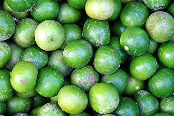 lime background