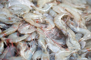 raw shrimp