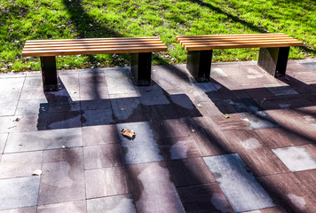 bench in sunny park with grey stones and green grass