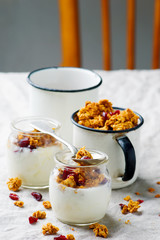 pumpkin granola with yogurt. style vintage.