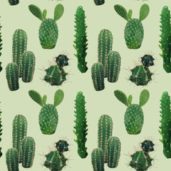 Vector Cactus Plant Seamless Pattern. Exotic Tropical Summer Botanical Background.