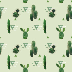 Geometric Cactus Plant Seamless Pattern. Exotic Tropical Summer Botanical Background in Vector.