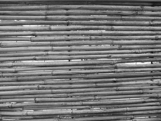 black and white bamboo background