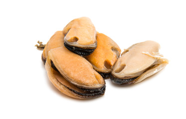 Mussels isolated