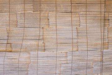 Close up of bamboo texture