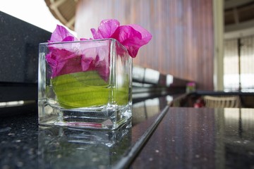 Bougainvillea in Glass