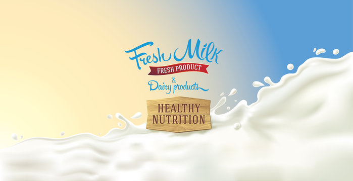 Design elements for label or packaging of dairy products - splash of milk, with a set of inscription.