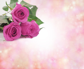 Special Mothering Sunday Pink Roses - three perky pink rose heads positioned in top left corner of pink bokeh border background
