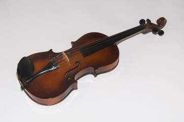 Violino isolato su sfondo bianco