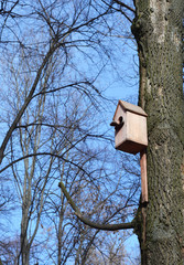 Bird house in the spring park.